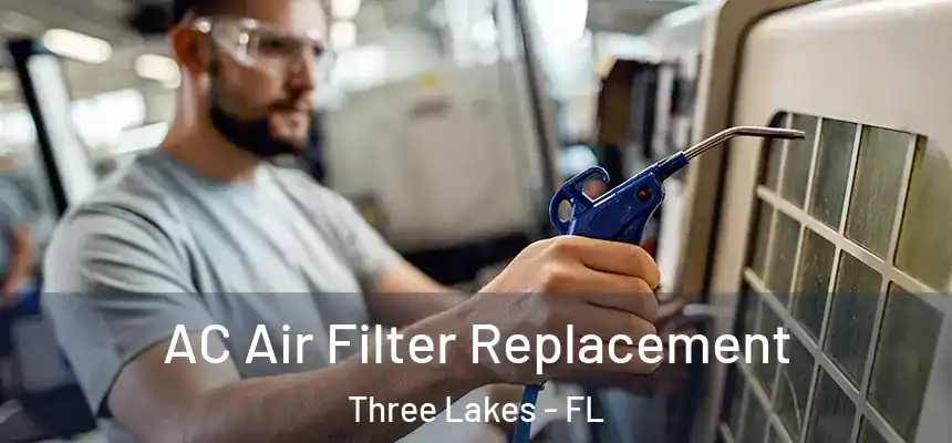 AC Air Filter Replacement Three Lakes - FL