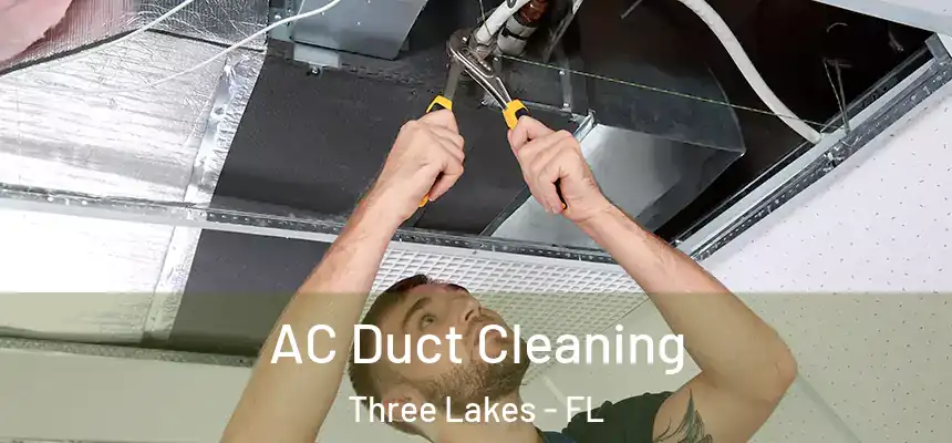  AC Duct Cleaning Three Lakes - FL