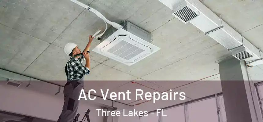AC Vent Repairs Three Lakes - FL