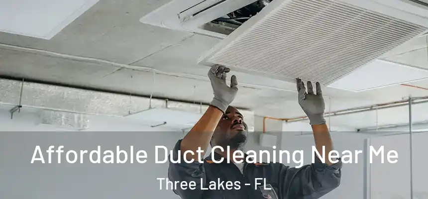 Affordable Duct Cleaning Near Me Three Lakes - FL