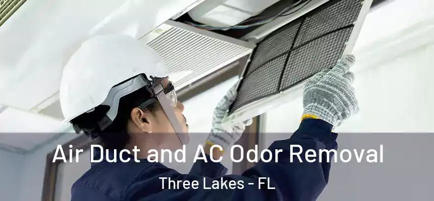  Air Duct and AC Odor Removal Three Lakes - FL