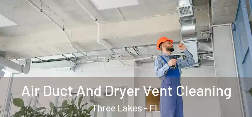  Air Duct And Dryer Vent Cleaning Three Lakes - FL