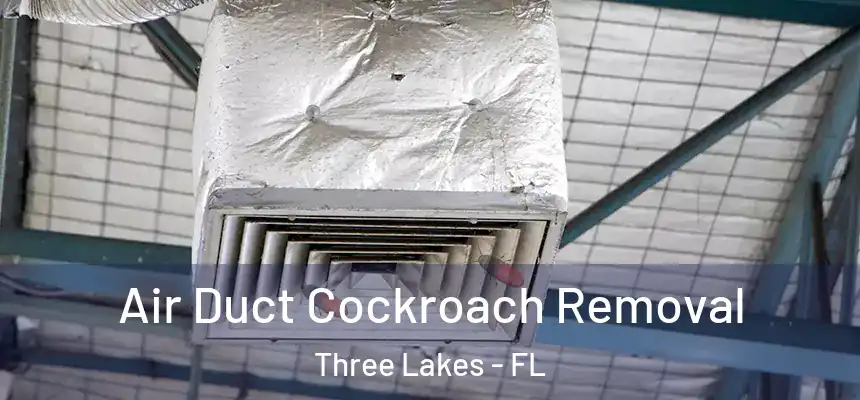  Air Duct Cockroach Removal Three Lakes - FL