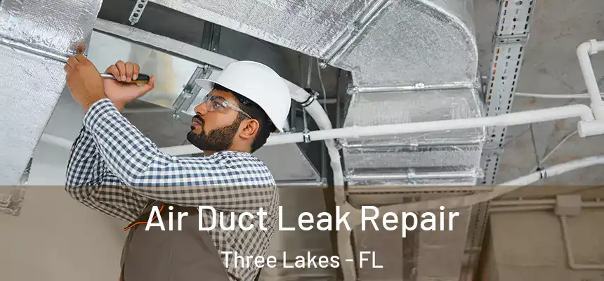  Air Duct Leak Repair Three Lakes - FL