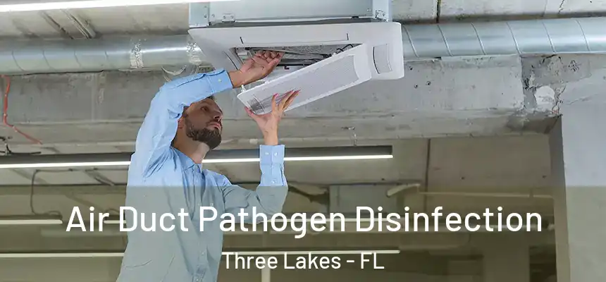 Air Duct Pathogen Disinfection Three Lakes - FL