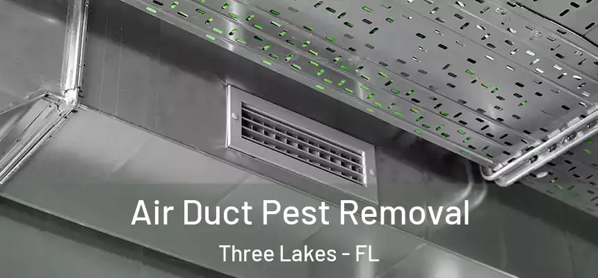  Air Duct Pest Removal Three Lakes - FL