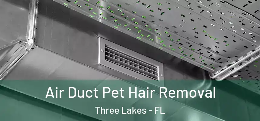  Air Duct Pet Hair Removal Three Lakes - FL