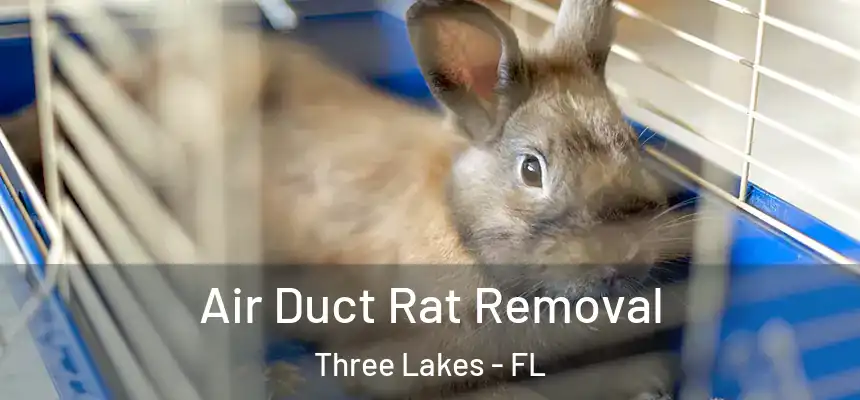 Air Duct Rat Removal Three Lakes - FL