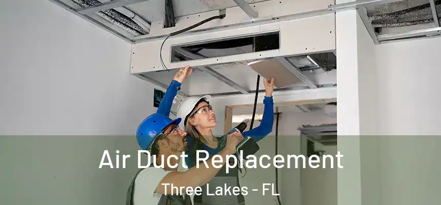  Air Duct Replacement Three Lakes - FL