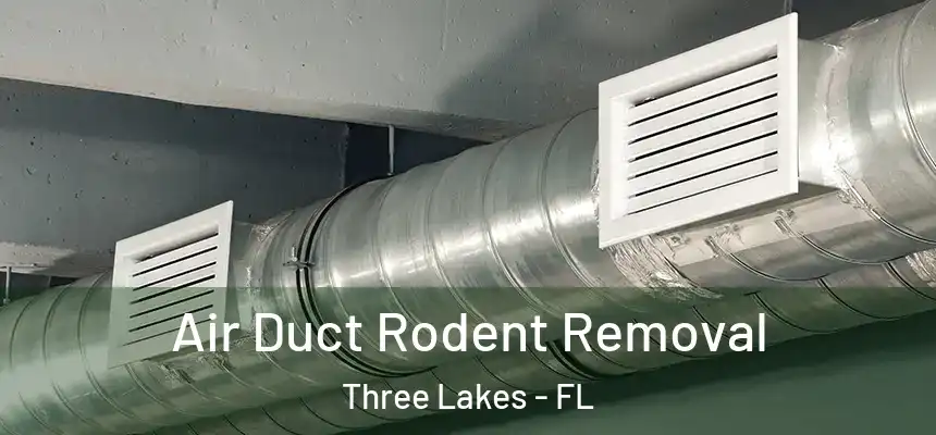  Air Duct Rodent Removal Three Lakes - FL