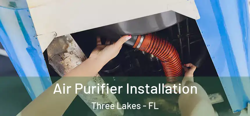  Air Purifier Installation Three Lakes - FL
