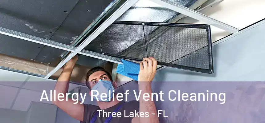  Allergy Relief Vent Cleaning Three Lakes - FL
