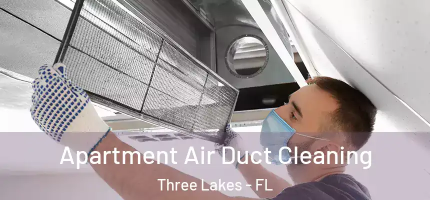 Apartment Air Duct Cleaning Three Lakes - FL