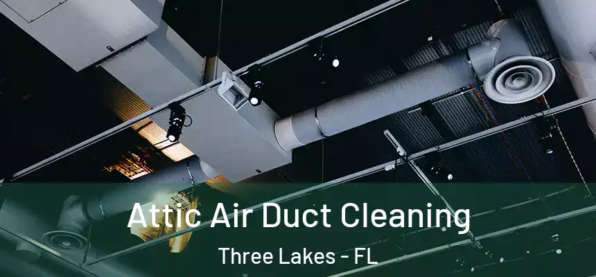  Attic Air Duct Cleaning Three Lakes - FL