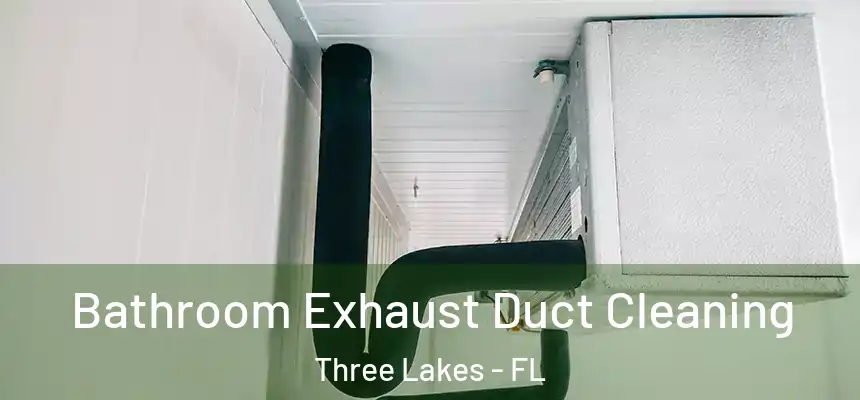  Bathroom Exhaust Duct Cleaning Three Lakes - FL