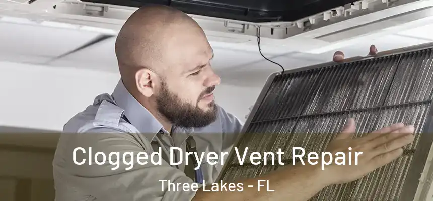  Clogged Dryer Vent Repair Three Lakes - FL