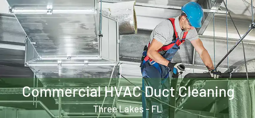  Commercial HVAC Duct Cleaning Three Lakes - FL