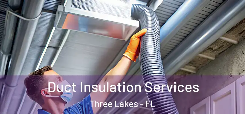Duct Insulation Services Three Lakes - FL