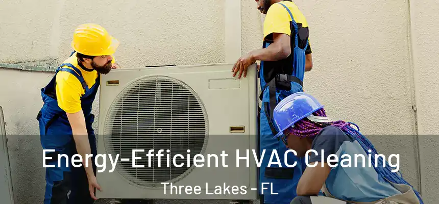  Energy-Efficient HVAC Cleaning Three Lakes - FL