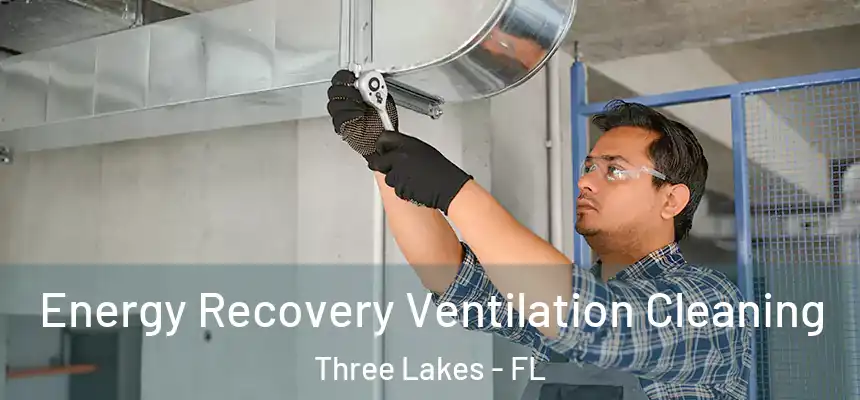  Energy Recovery Ventilation Cleaning Three Lakes - FL