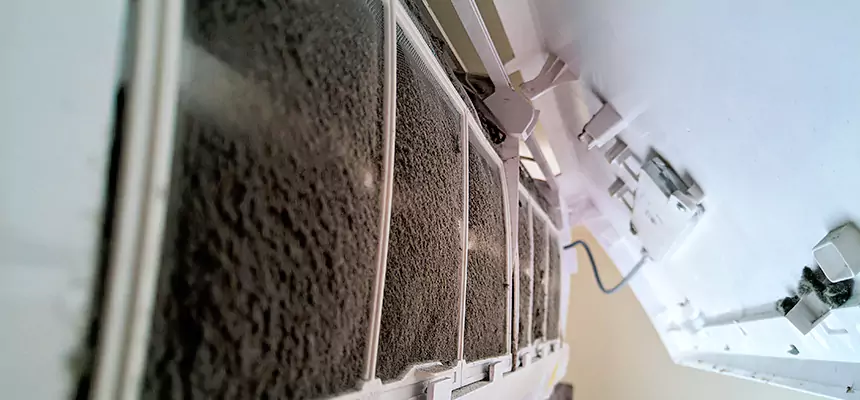 Preventive Air Duct Bacteria Removal in Three Lakes