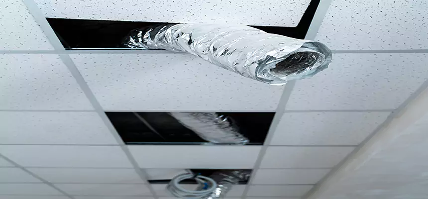 Affordable HVAC Sanitizing After Pest Removal in Three Lakes