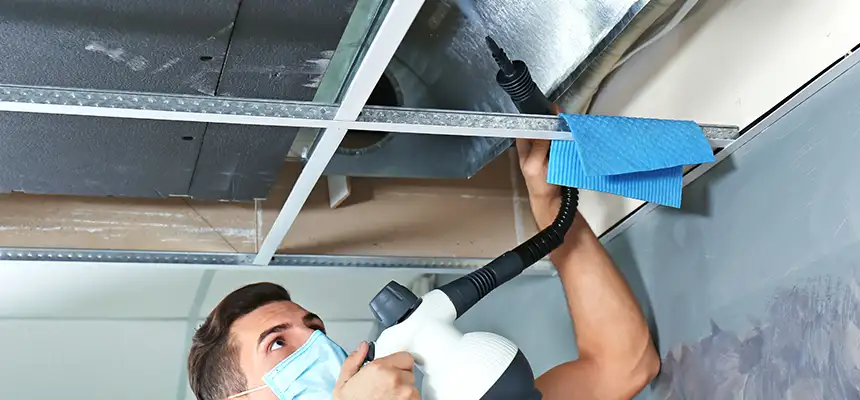 Our Air Duct Rodent Removal Services in Three Lakes, FL
