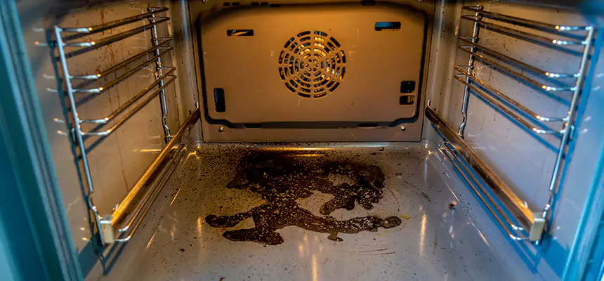 Our Dryer Vent Mold Cleaning Services in Three Lakes, FL