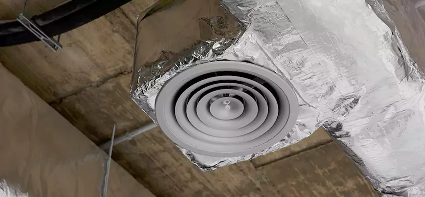 Our Excess Lint Removal from Dryer Ducts Services in Three Lakes, FL