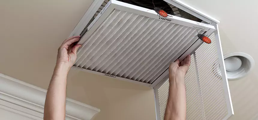 Our Insect Removal from Air Ducts Services in Three Lakes, FL