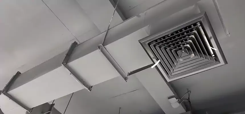 Our Pest Removal From Ducts Services in Three Lakes, FL