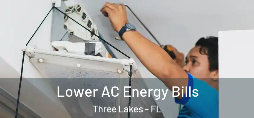  Lower AC Energy Bills Three Lakes - FL