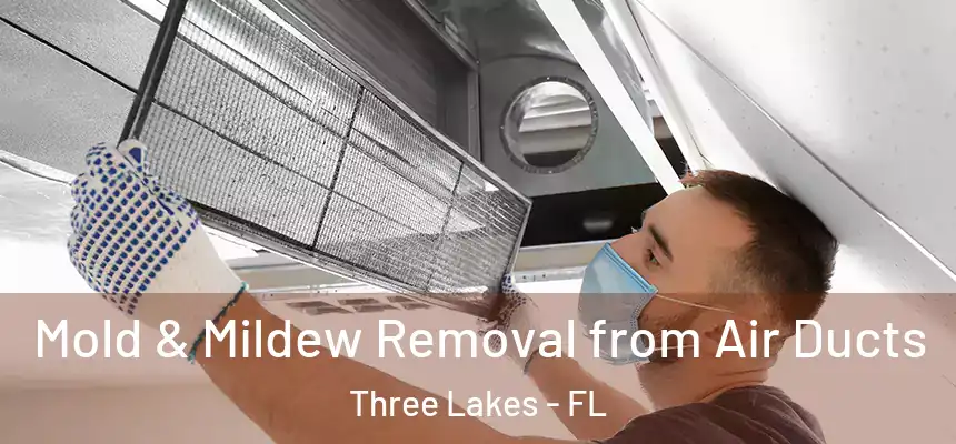  Mold & Mildew Removal from Air Ducts Three Lakes - FL