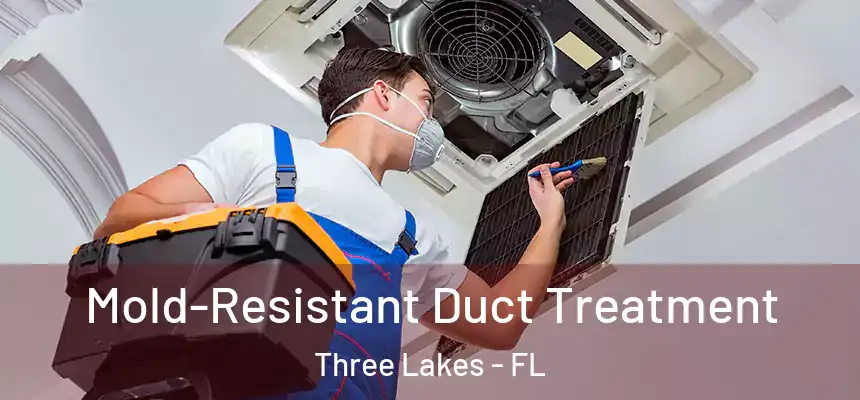  Mold-Resistant Duct Treatment Three Lakes - FL