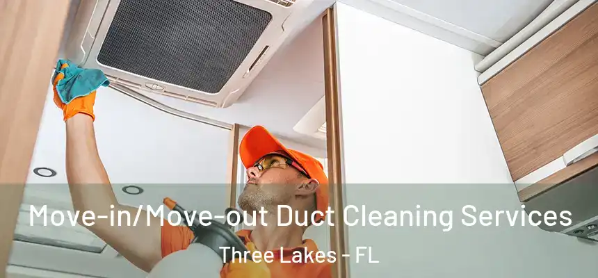  Move-in/Move-out Duct Cleaning Services Three Lakes - FL