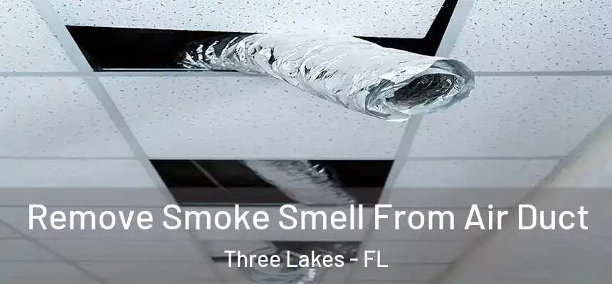  Remove Smoke Smell From Air Duct Three Lakes - FL
