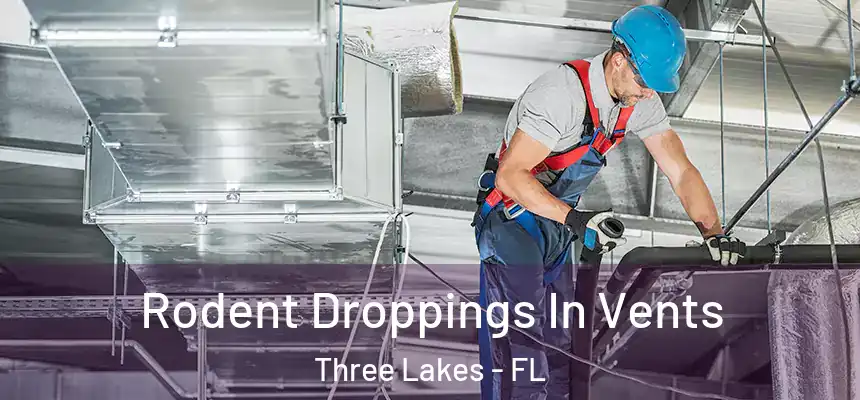  Rodent Droppings In Vents Three Lakes - FL