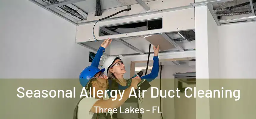  Seasonal Allergy Air Duct Cleaning Three Lakes - FL