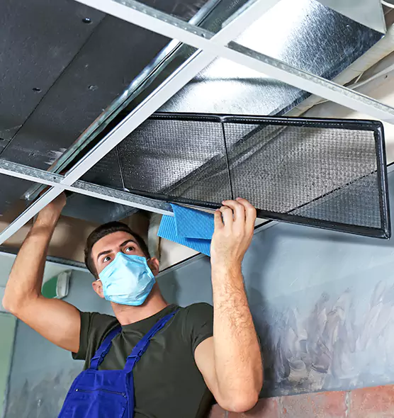 About Air Duct Bacteria Removal in Three Lakes