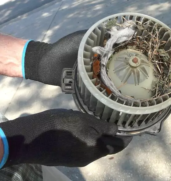 About Air Duct Mice Removal in Three Lakes, FL