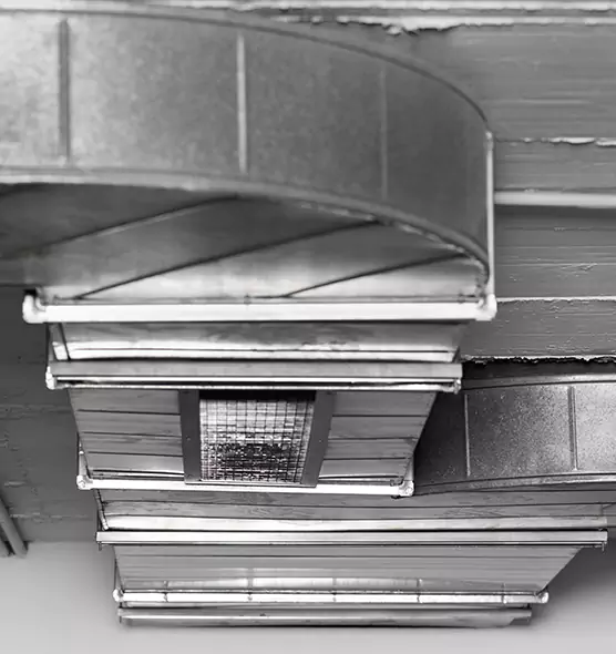 Professional Air Duct Pet Hair Removal in Three Lakes, FL