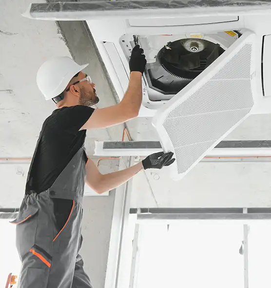 About Air Duct Rodent Removal in Three Lakes, FL