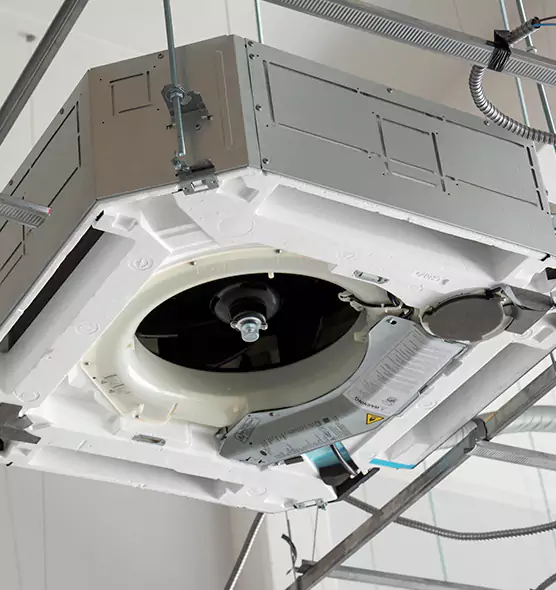 Professional Roof Vent Lint Removal Three Lakes, FL