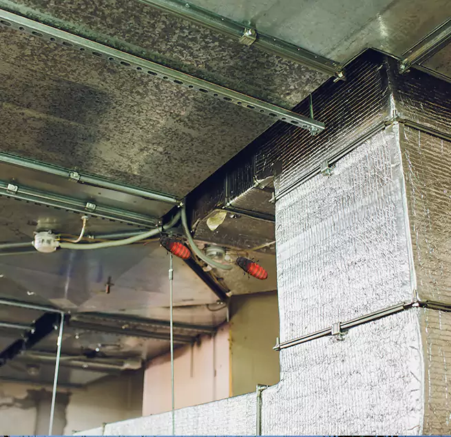 Why Homeowners & Businesses Trust Us in Three Lakes, FL?