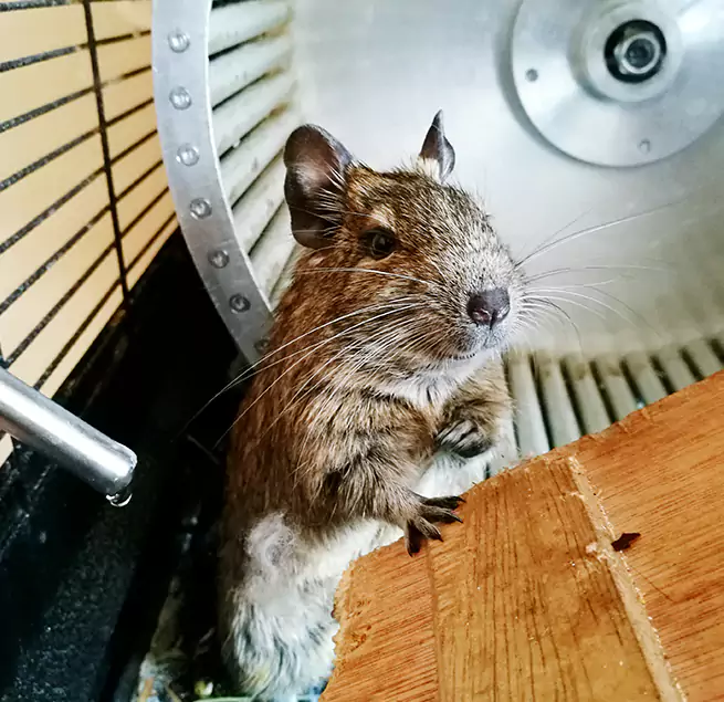 Why Homeowners & Businesses Trust Us Three Lakes, FL?