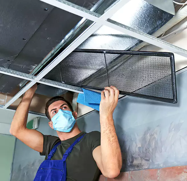 Why Homeowners Businesses Trust Us in Three Lakes, FL