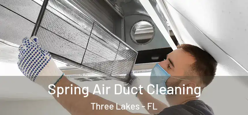 Spring Air Duct Cleaning Three Lakes - FL