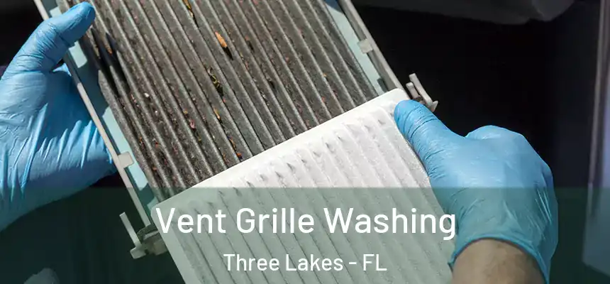 Vent Grille Washing Three Lakes - FL