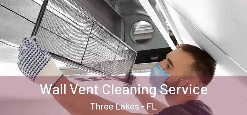  Wall Vent Cleaning Service Three Lakes - FL